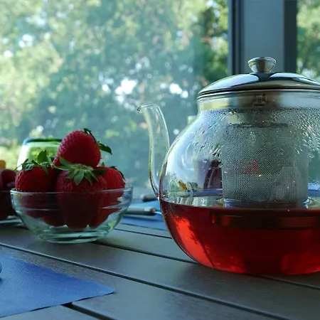 Verna Agriresort 度假村 滨海弗兰卡维拉